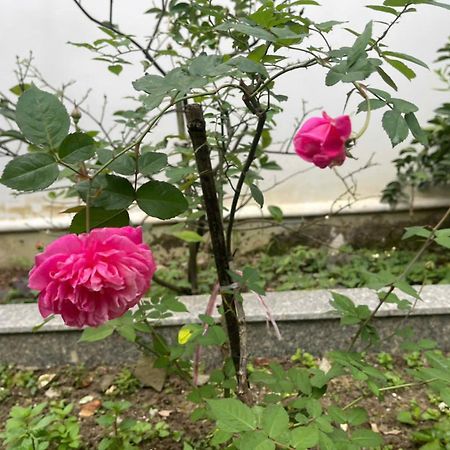 Nhat Long Homestay Хюе Екстер'єр фото