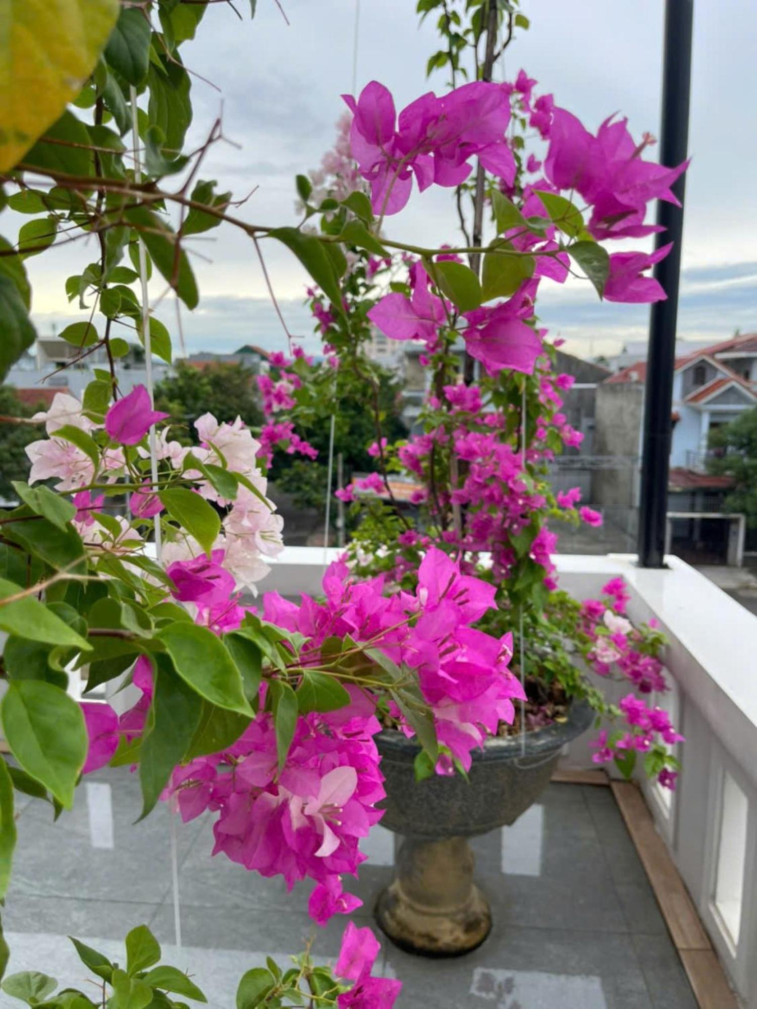 Nhat Long Homestay Хюе Екстер'єр фото
